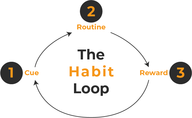 The habit loop