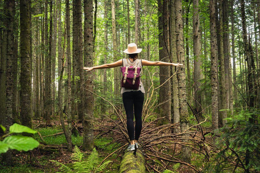 woman in forest | neurofeedback therapy for anxiety in englewood, co | neurofeedback colorado | neurofeedback englewood | neurofeedback and anxiety | neurofeedback therapy | 80125 | 80121 | 80110 Image of a woman standing in a forest on top of a fallen tree trunk stretching out her arms. Break free from the hold anxiety has on you with the help of neurofeedback therapy for anxiety in Englewood, CO.