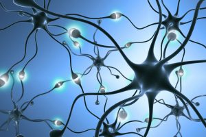 neurons | neurofeedback therapy in greenwood village, co | neurofeedback therapy in littleton, co | trauma therapy in englewood, co | 80127 | 80128 | 80124 A graphic depicting neurons in a brain. This could represent the process of neurofeedback therapy in Greenwood Village, CO. Learn more about neurofeedback and trauma therapy in Englewood, CO by searching for trauma therapy for teens in Englewood, CO today.