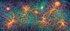 neurons concept | neurofeedback therapy in englewood, co | neurofeedback denver | neurofeedback therapy in littleton, co | 80126 | 80129 | 80130 An artistic representation of a neural network, showing complex, branching neuron structures. Contact a neurofeedback therapist in Englewood, CO and how neurofeedback therapy in Englewood, CO can offer support. Search for neurofeedback therapy in Littleton, CO today.