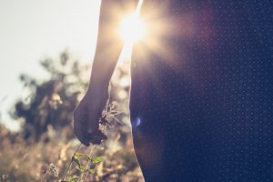 touching plant | trauma therapist in englewood, co | anxiety therapy in englewood, co | anxiety therapist in englewood, co | 80127 | 80128 | 80124 A person’s hand gently holding a plant in a sunlit field, illustrating a connection with nature, mindfulness, and grounding practices. Learn more about the support that neurofeedback therapy in Littleton, CO and how a trauma therapist in Englewood, CO can help today. Search for EMDR therapy in Denver, CO to learn more.
